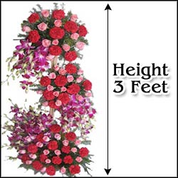 "Exotic N Perfect - Click here to View more details about this Product